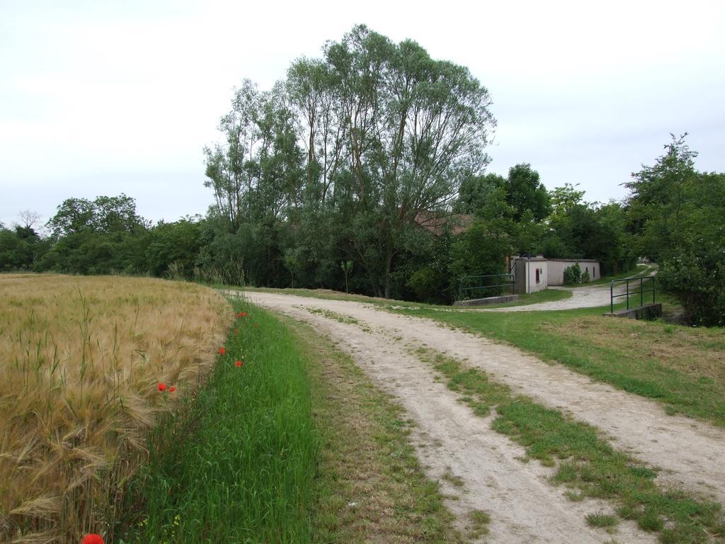 Le Saule Argente Villa La Villeneuve-au-Châtelot Exterior foto