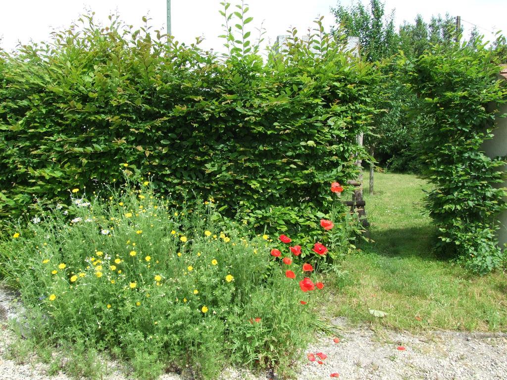Le Saule Argente Villa La Villeneuve-au-Châtelot Exterior foto